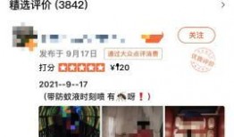 春熙小馆最新爆料消息,最新爆料带你探秘美食背后的故事