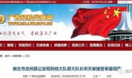 龙州新闻爆料最新消息,最新爆料揭示重大事件进展