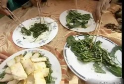 拉面馆吃瓜爆料最新章节,揭秘最新章节背后的惊人内幕