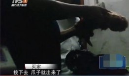 屠宰最新爆料视频下载,屠宰场内幕曝光，触目惊心细节披露