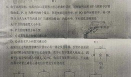 山东最新爆料新闻事件是真的吗,事件真相揭秘，官方回应来了！