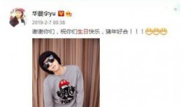 枣庄小三被爆料视频最新,真相与争议交织的舆论漩涡”