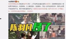 王浩东爆料视频大全最新,揭秘事件真相与内幕