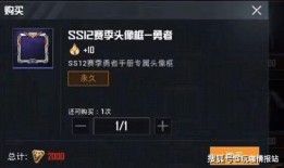最新军需和平精英爆料图,和平精英爆料图曝光，全新装备等你来战！