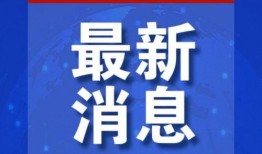 新爆料最新消息新闻网站,揭秘最新消息背后的真相与内幕”