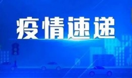 新爆料最新消息新闻网站,揭秘最新消息背后的真相与内幕”